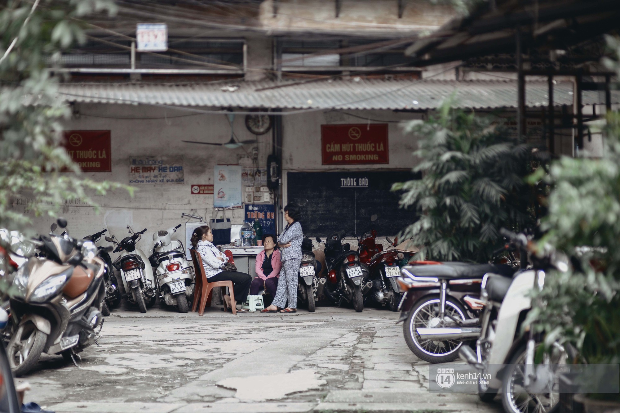 Chẳng mấy ai khen Hà Nội giữa tiết trời thế này, nhưng Hà Nội đẹp lắm, Hà Nội ơi! - Ảnh 11. Chẳng mấy ai khen Hà Nội giữa tiết trời thế này, nhưng Hà Nội đẹp lắm, Hà Nội ơi! - Ảnh 11.