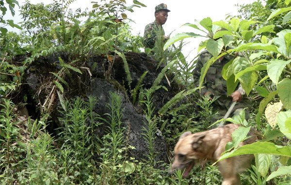 Tìm thấy thi thể bà cụ 80 tuổi sau 4 ngày đi lạc trong rừng ở Lào Cai - Ảnh 1.