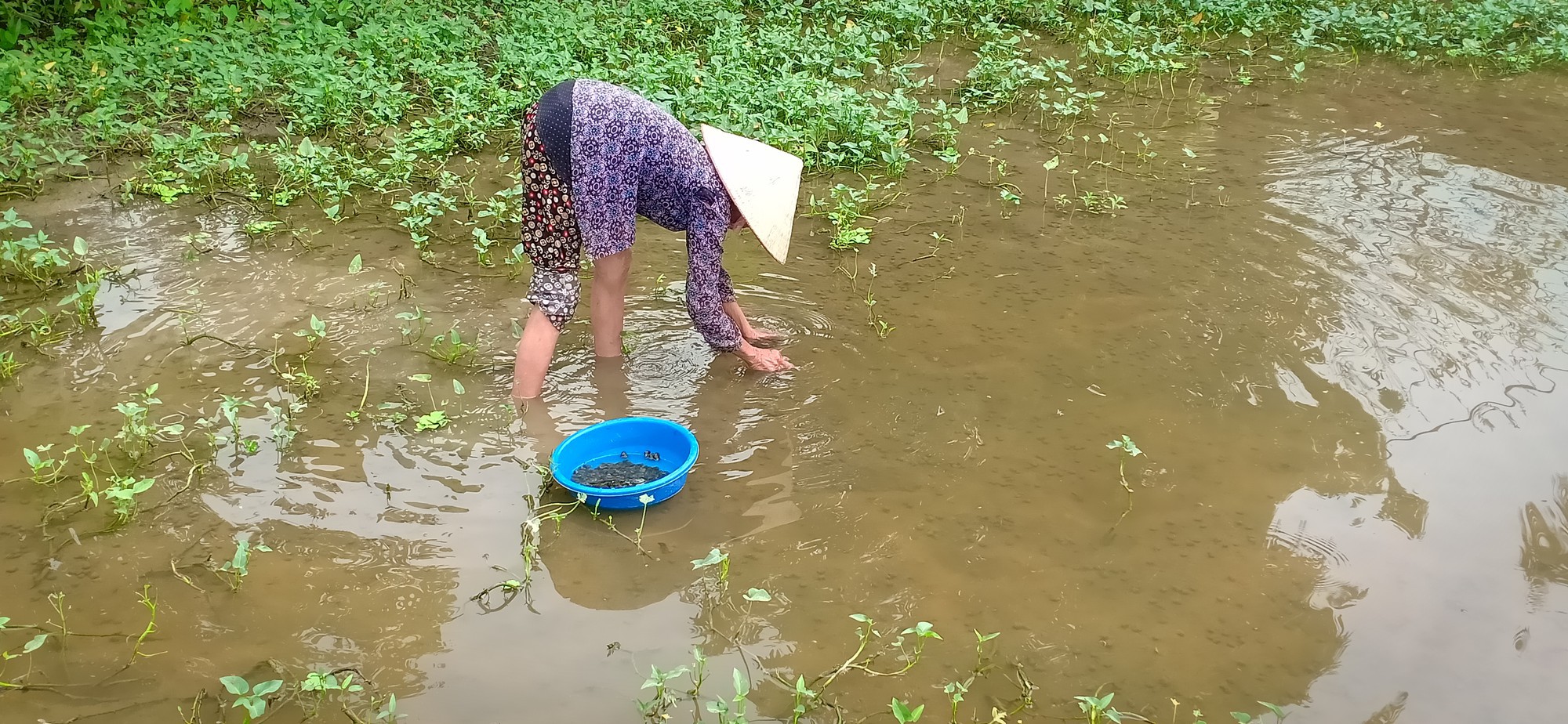 Mẹ mất, bố tâm thần bỏ đi, bé gái 12 tuổi chăm bà bệnh nặng bật khóc: Em sợ bà chết đi, em không biết sống với ai nữa - Ảnh 4. Mẹ mất, bố tâm thần bỏ đi, bé gái 12 tuổi chăm bà bệnh nặng bật khóc: Em sợ bà chết đi, em không biết sống với ai nữa - Ảnh 4.