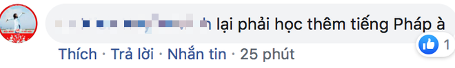 Rời Hàn Quốc, fan Việt chúc Công Phượng sẽ thành công như Son Heung-min - Ảnh 3.