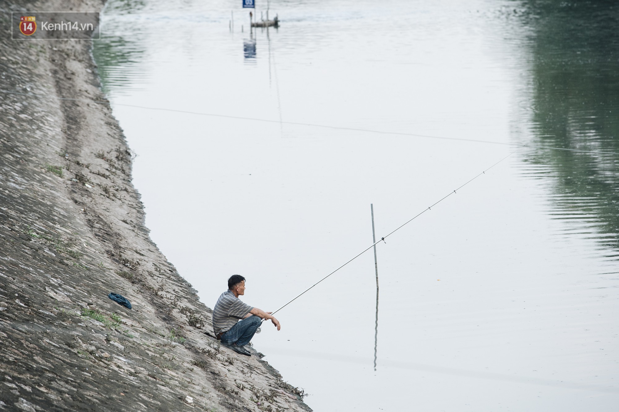 Sông Tô Lịch đổi màu sau khi làm sạch bằng công nghệ Nhật Bản: Hoa lau xanh mướt, người dân thư thả câu cá - Ảnh 13.