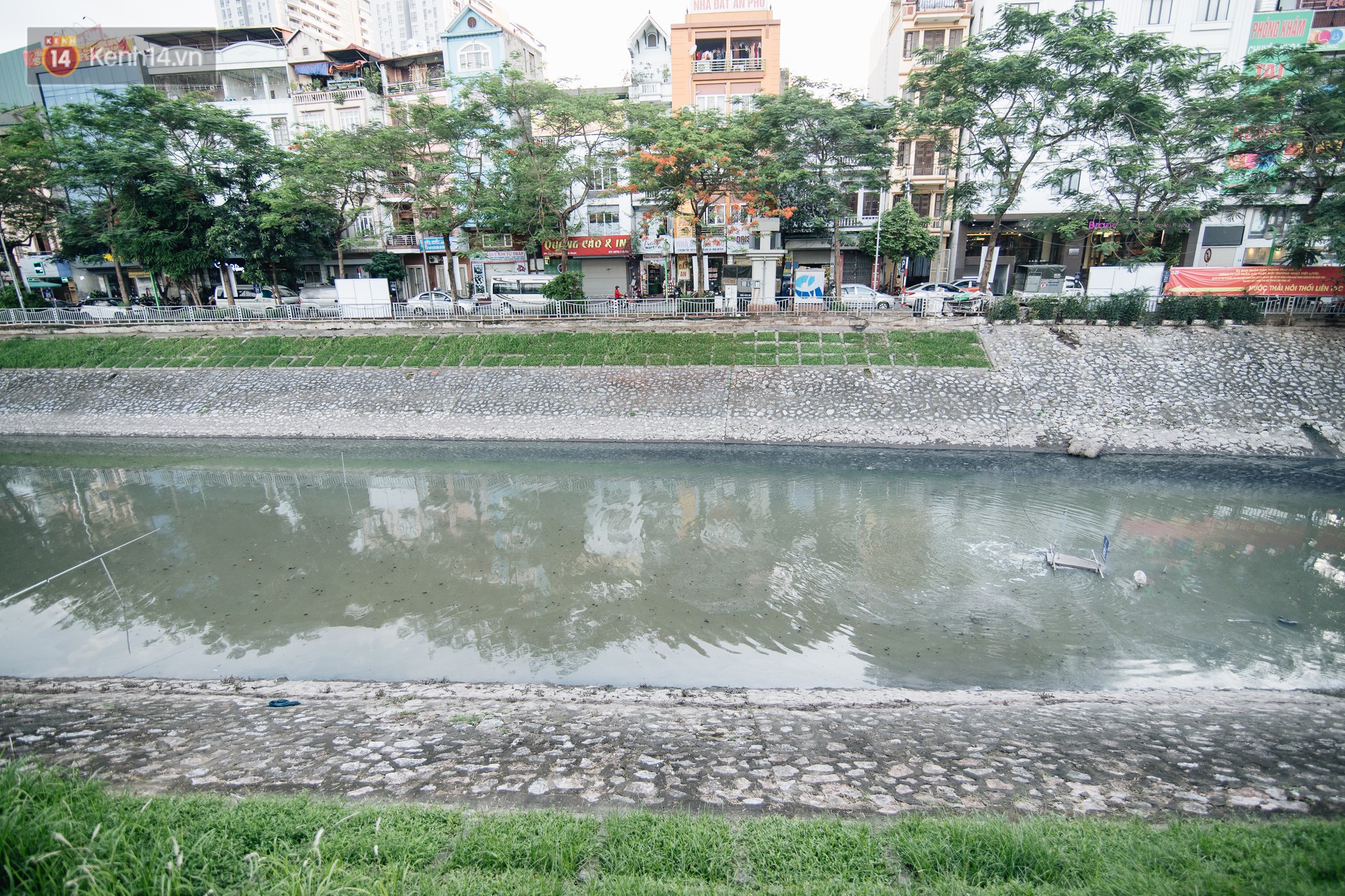 Sông Tô Lịch đổi màu sau khi làm sạch bằng công nghệ Nhật Bản: Hoa lau xanh mướt, người dân thư thả câu cá - Ảnh 4.