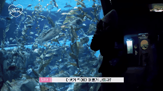 Fan &ldquo;th&ograve;ng tim&rdquo; với cuộc phi&ecirc;u lưu của Lisa v&agrave; Ros&eacute; (BLACKPINK) v&agrave;o xứ sở động vật, người đ&acirc;u m&agrave; gặp con g&igrave; cũng ch&agrave;o hỏi như quen l&acirc;u rồi - Ảnh 10.