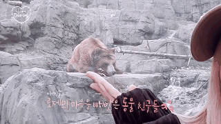 Fan &ldquo;th&ograve;ng tim&rdquo; với cuộc phi&ecirc;u lưu của Lisa v&agrave; Ros&eacute; (BLACKPINK) v&agrave;o xứ sở động vật, người đ&acirc;u m&agrave; gặp con g&igrave; cũng ch&agrave;o hỏi như quen l&acirc;u rồi - Ảnh 19.