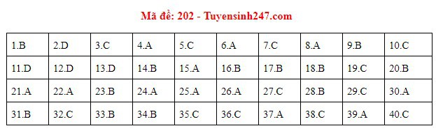 Đáp án đề thi môn Vật lý THPT quốc gia 2019 (tất cả 24 mã đề) - Ảnh 1.