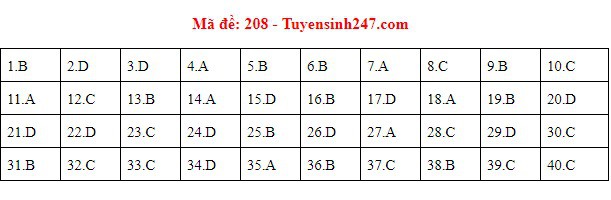 Đáp án đề thi môn Vật lý THPT quốc gia 2019 (tất cả 24 mã đề) - Ảnh 2.