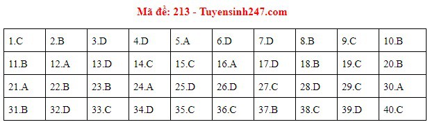 Đáp án đề thi môn Vật lý THPT quốc gia 2019 (tất cả 24 mã đề) - Ảnh 3.