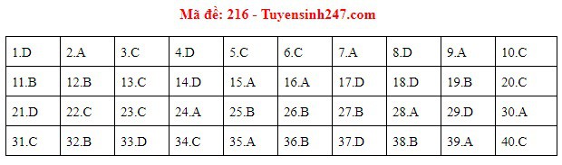 Đáp án đề thi môn Vật lý THPT quốc gia 2019 (tất cả 24 mã đề) - Ảnh 4.