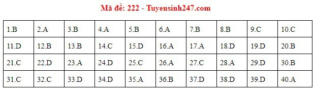 Đáp án đề thi môn Vật lý THPT quốc gia 2019 (tất cả 24 mã đề) - Ảnh 6.