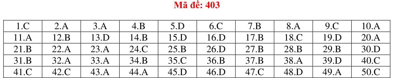 Đ&aacute;p &aacute;n thi m&ocirc;n Tiếng Anh THPT quốc gia 2019 (tất cả m&atilde; đề) - Ảnh 3.