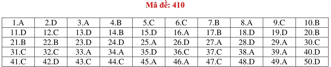 Đ&aacute;p &aacute;n thi m&ocirc;n Tiếng Anh THPT quốc gia 2019 (tất cả m&atilde; đề) - Ảnh 10.