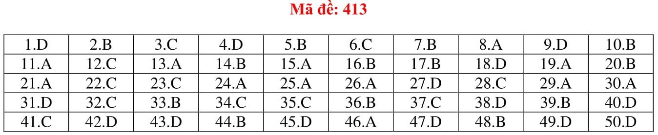 Đ&aacute;p &aacute;n thi m&ocirc;n Tiếng Anh THPT quốc gia 2019 (tất cả m&atilde; đề) - Ảnh 13.