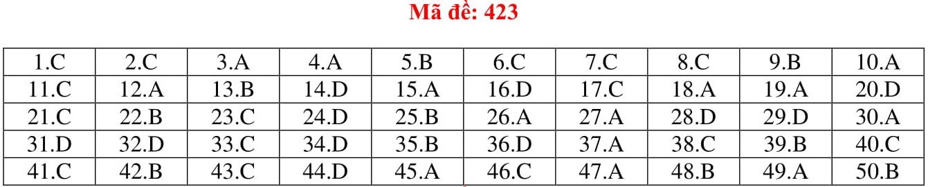 Đ&aacute;p &aacute;n thi m&ocirc;n Tiếng Anh THPT quốc gia 2019 (tất cả m&atilde; đề) - Ảnh 23.