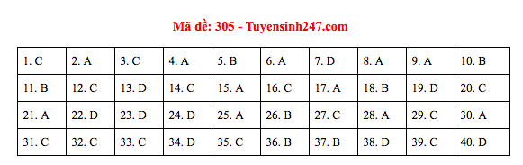 Đáp án đề thi Lịch sử THPT Quốc gia 2019 (full tất cả 24 mã đề) - Ảnh 5.