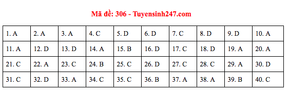 Đáp án đề thi Lịch sử THPT Quốc gia 2019 (full tất cả 24 mã đề) - Ảnh 6.