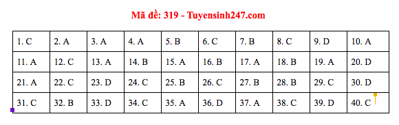 Đáp án đề thi Lịch sử THPT Quốc gia 2019 (full tất cả 24 mã đề) - Ảnh 19.