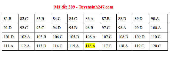 Đáp án đề thi GDCD THPT quốc gia 2019 (đã xong tất cả 24 mã đề) - Ảnh 9.