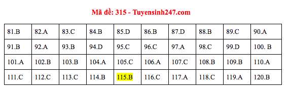 Đáp án đề thi GDCD THPT quốc gia 2019 (đã xong tất cả 24 mã đề) - Ảnh 15.