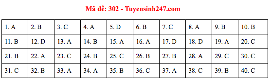 Đáp án đề thi Lịch sử THPT Quốc gia 2019 (full tất cả 24 mã đề) - Ảnh 2.