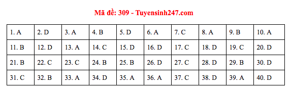 Đáp án đề thi Lịch sử THPT Quốc gia 2019 (full tất cả 24 mã đề) - Ảnh 9.