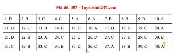 Đáp án đề thi Lịch sử THPT Quốc gia 2019 (full tất cả 24 mã đề) - Ảnh 7.