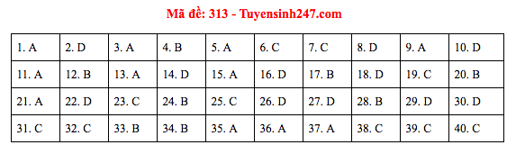 Đáp án đề thi Lịch sử THPT Quốc gia 2019 (full tất cả 24 mã đề) - Ảnh 13.