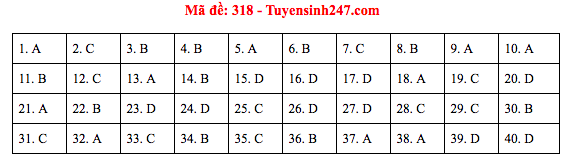 Đáp án đề thi Lịch sử THPT Quốc gia 2019 (full tất cả 24 mã đề) - Ảnh 18.