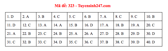 Đáp án đề thi Lịch sử THPT Quốc gia 2019 (full tất cả 24 mã đề) - Ảnh 23.