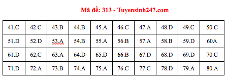 Đáp án đề thi Địa THPT quốc gia 2019 (đã xong tất cả 24 mã đề) - Ảnh 13.