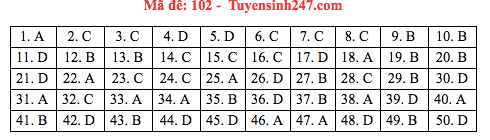 Đáp án đề thi Toán THPT quốc gia 2019 (đã xong tất cả 24 mã đề) - Ảnh 2.