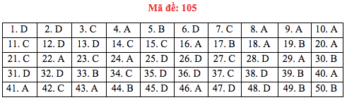 Đáp án đề thi Toán THPT quốc gia 2019 (đã xong tất cả 24 mã đề) - Ảnh 5.