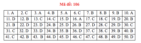 Đáp án đề thi Toán THPT quốc gia 2019 (đã xong tất cả 24 mã đề) - Ảnh 6.