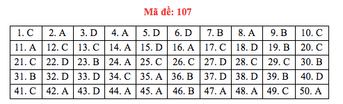 Đáp án đề thi Toán THPT quốc gia 2019 (đã xong tất cả 24 mã đề) - Ảnh 7.