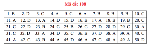 Đáp án đề thi Toán THPT quốc gia 2019 (đã xong tất cả 24 mã đề) - Ảnh 8.