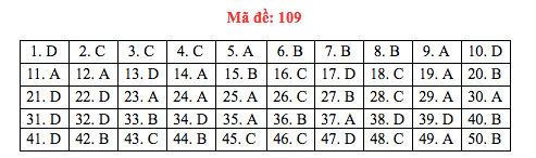 Đáp án đề thi Toán THPT quốc gia 2019 (đã xong tất cả 24 mã đề) - Ảnh 9.