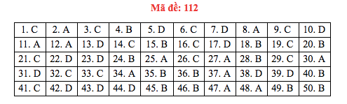 Đáp án đề thi Toán THPT quốc gia 2019 (đã xong tất cả 24 mã đề) - Ảnh 12.