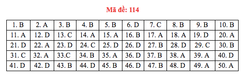 Đáp án đề thi Toán THPT quốc gia 2019 (đã xong tất cả 24 mã đề) - Ảnh 14.