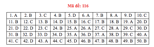 Đáp án đề thi Toán THPT quốc gia 2019 (đã xong tất cả 24 mã đề) - Ảnh 16.