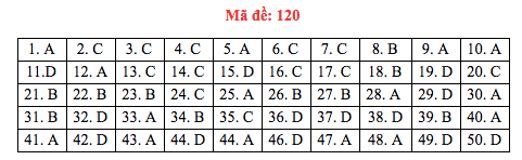 Đáp án đề thi Toán THPT quốc gia 2019 (đã xong tất cả 24 mã đề) - Ảnh 20.