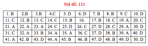 Đáp án đề thi Toán THPT quốc gia 2019 (đã xong tất cả 24 mã đề) - Ảnh 21.