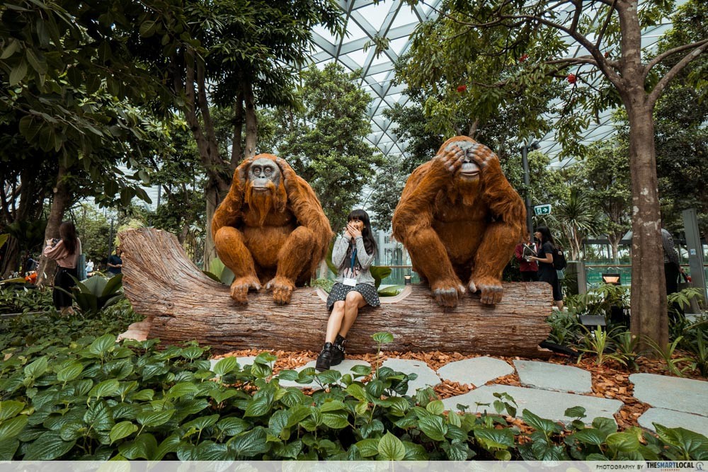 Chất lừ với Apple Store thứ 2 ở Singapore: Đặt ở sân bay mà cứ ngỡ lạc vào rừng tiên trong phim ảnh - Ảnh 6.