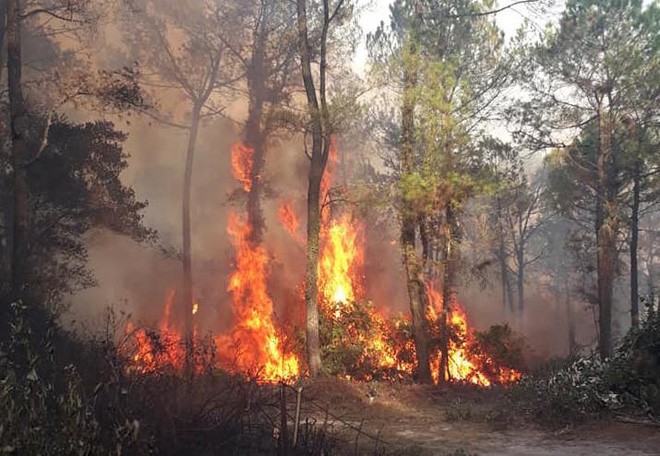 Lộ danh tính người đàn ông bị công an tạm giữ nghi gây ra vụ cháy rừng lớn nhất Hà Tĩnh - Ảnh 2.