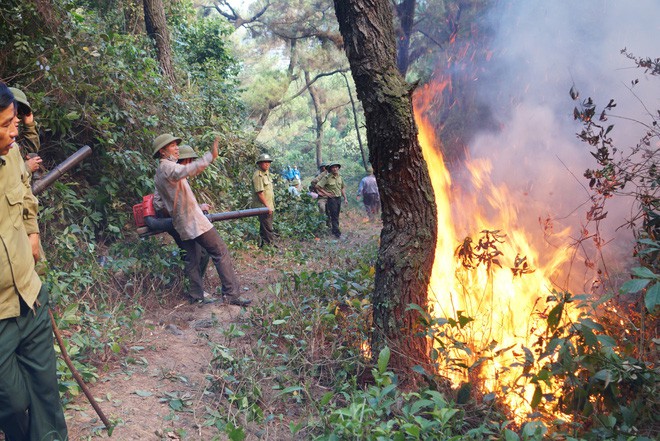 Lộ danh tính người đàn ông bị công an tạm giữ nghi gây ra vụ cháy rừng lớn nhất Hà Tĩnh - Ảnh 3.