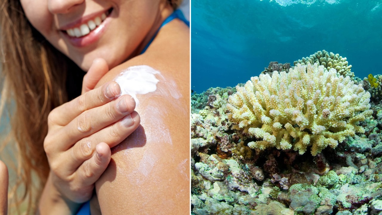 Oxybenzone trong kem chống nắng có độc hại và chúng ta có nên ngưng sử dụng kem chống nắng vì nó? - Ảnh 1. Oxybenzone trong kem chống nắng có độc hại và chúng ta có nên ngưng sử dụng kem chống nắng vì nó? - Ảnh 1.