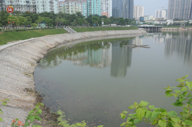 Chùm ảnh: Cỏ dại, bèo tây phủ kín khiến công viên nước 300 tỷ ở Hà Nội như một đầm lầy - Ảnh 11.