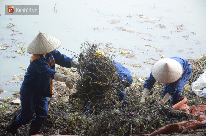 Chùm ảnh: Cỏ dại, bèo tây phủ kín khiến công viên nước 300 tỷ ở Hà Nội như một đầm lầy - Ảnh 6.