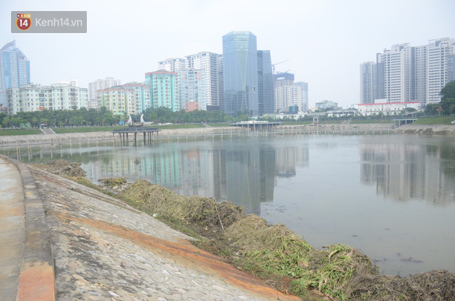 Chùm ảnh: Cỏ dại, bèo tây phủ kín khiến công viên nước 300 tỷ ở Hà Nội như một đầm lầy - Ảnh 7.