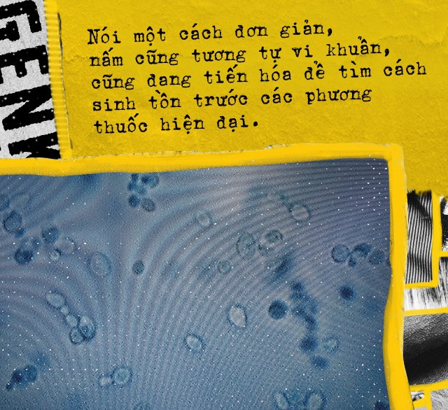 Candida auris, thứ nấm kháng thuốc bí ẩn đang đe dọa sự sống còn của toàn nhân loại - Ảnh 2. Candida auris, thứ nấm kháng thuốc bí ẩn đang đe dọa sự sống còn của toàn nhân loại - Ảnh 2.