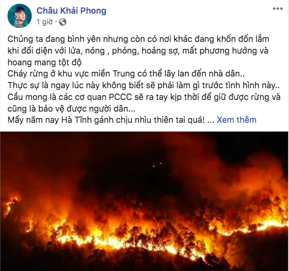 Đỗ Mỹ Linh, Hoà Minzy cùng sao Vbiz hướng về vụ cháy rừng kinh hoàng ở Hà Tĩnh - Ảnh 4.