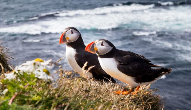 Sự thật về những lời đồn đoán kì bí xoay quanh ngôi nhà cô quạnh nhất thế giới ở Iceland - Ảnh 5.